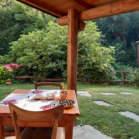 Bed and breakfast La Lacia 4*